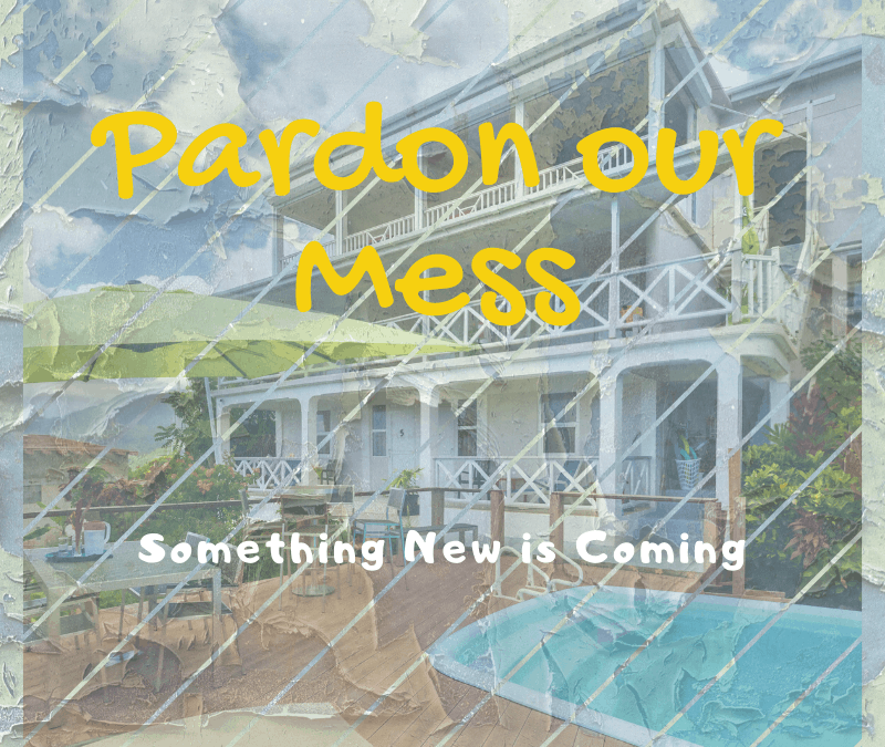 Pardon our Mess – Hotel the Champs is Growing