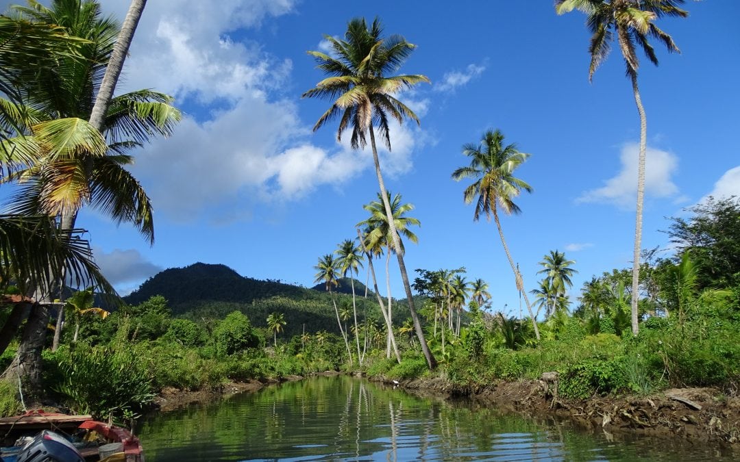 Let’s take a tour on the scenic Indian River