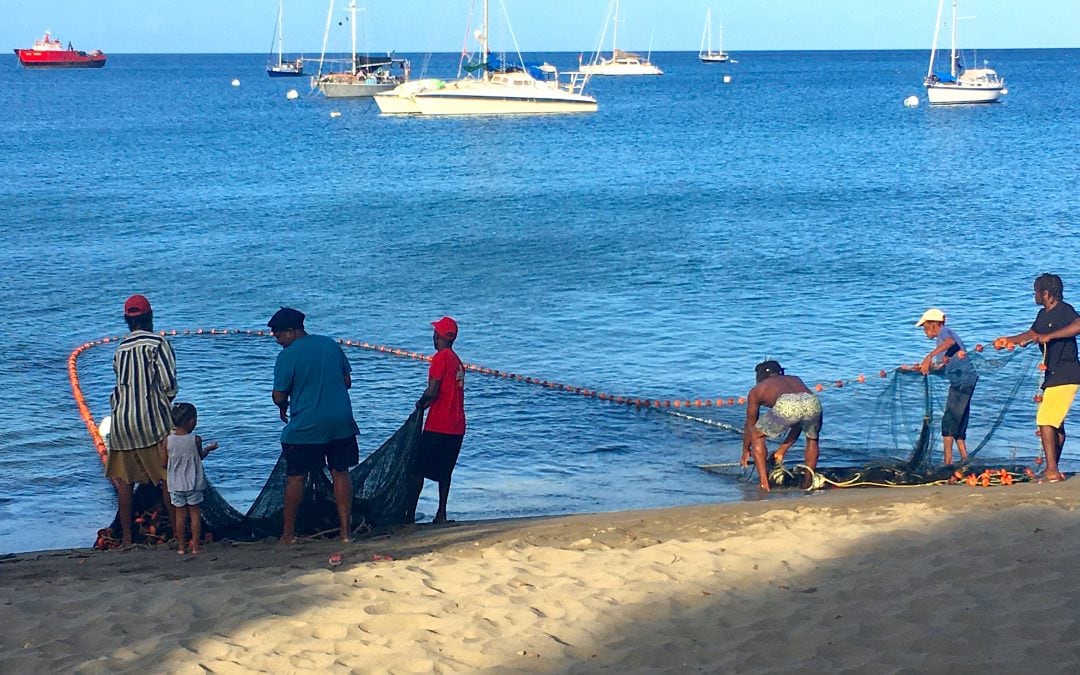 Catching fresh fish in Dominica…