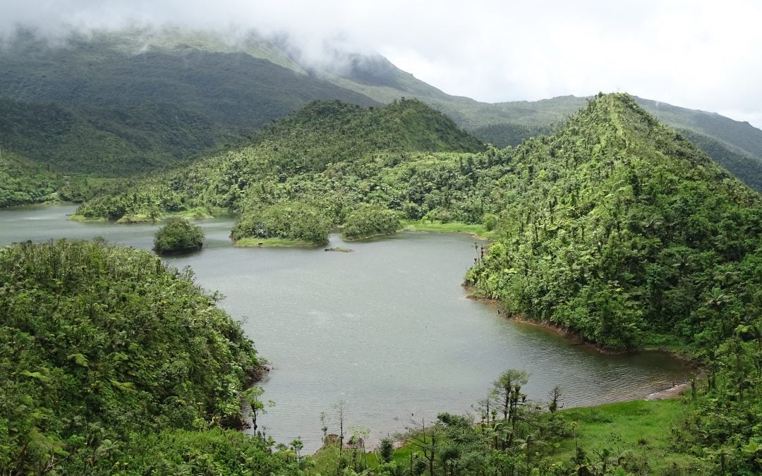 Hiking around Freshwater Lake